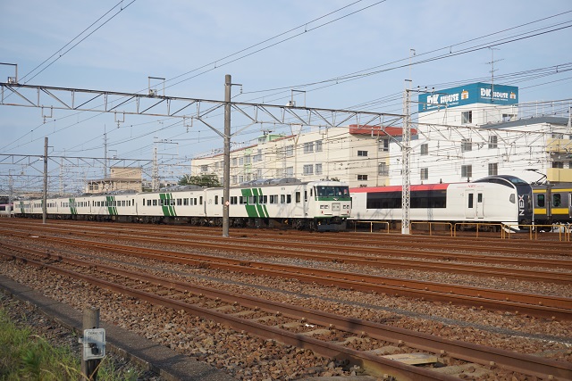 新金 貨物線経由 185系 松戸～鎌倉 臨時列車5