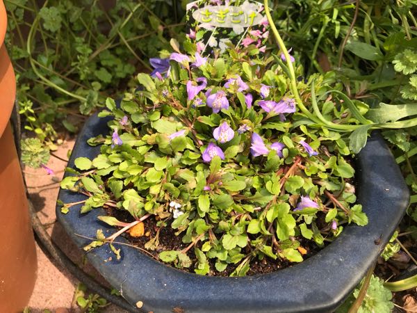 rblog-20190329184105-04.jpg