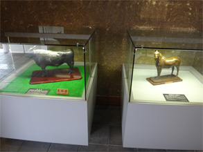 岩手240.jpg