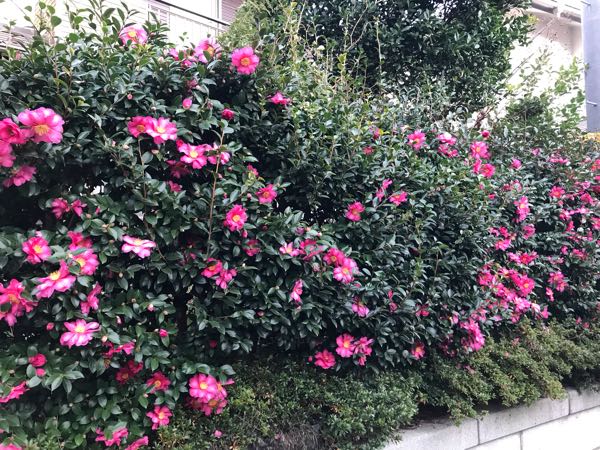 rblog-20181203161122-00.jpg