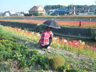 カノジョの後ろ姿