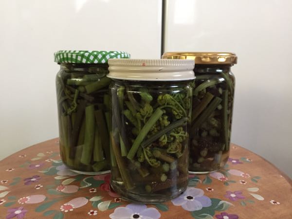 rblog-20180502181023-00.jpg