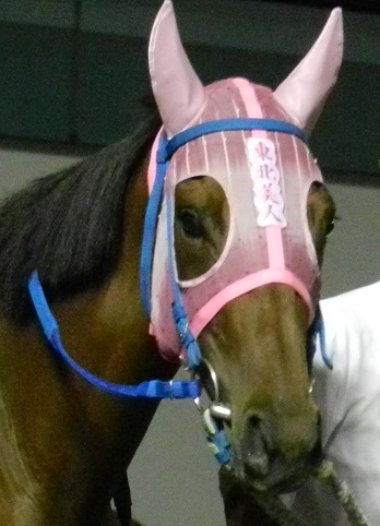 2012トウホクビジンスパーキングレディーカップ1.jpg