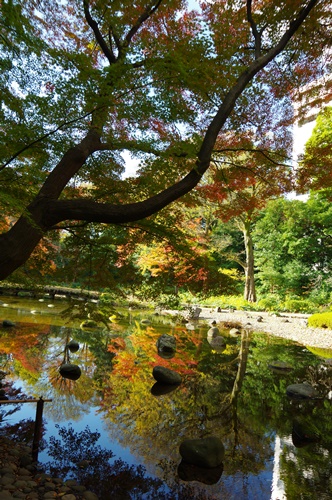 小石川後楽園