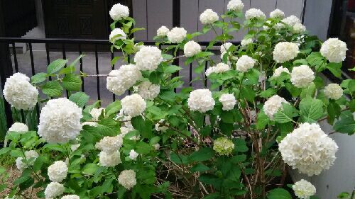 rblog-20150616165005-01.jpg