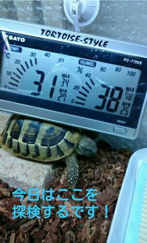 rblog-20151121205433-01.jpg
