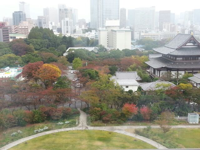 rblog-20141109073222-02.jpg
