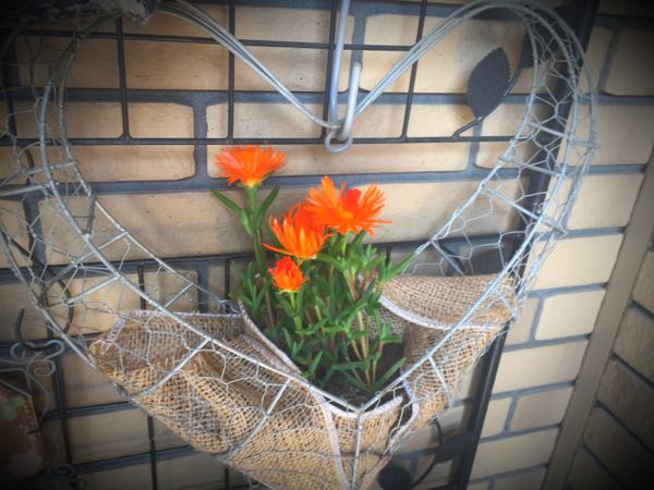 rblog-20160406142324-06.jpg