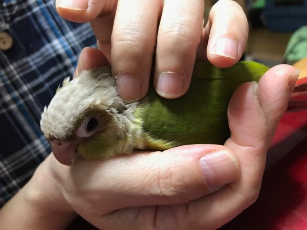 rblog-20170905222824-00.jpg