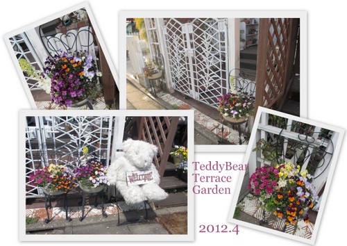 テディベアテラスガーデン２０１２春5.jpg
