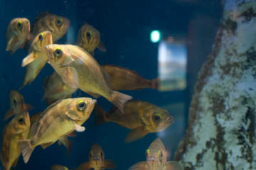 20131021-_DSC2009.JPG