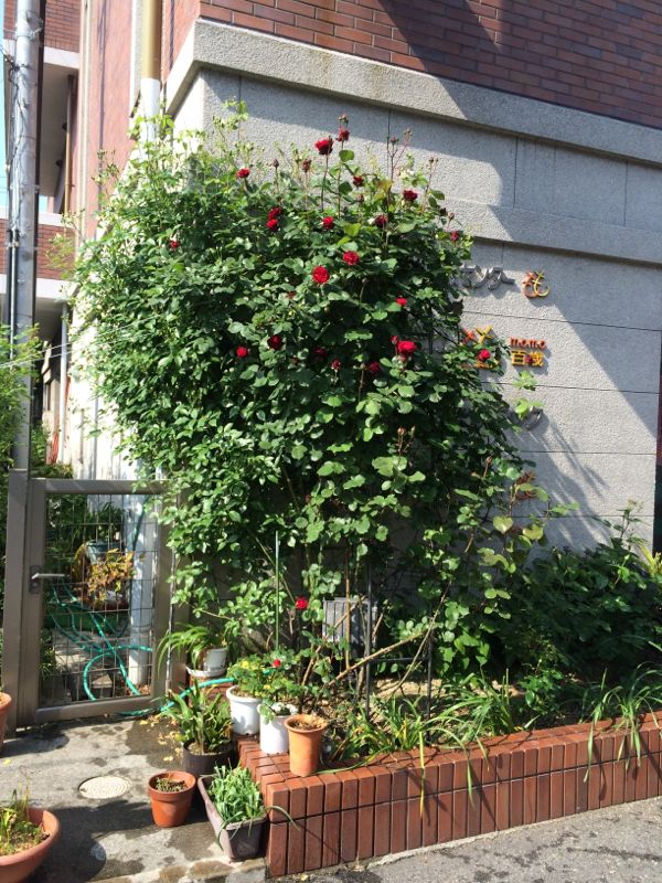 rblog-20140509110817-03.jpg