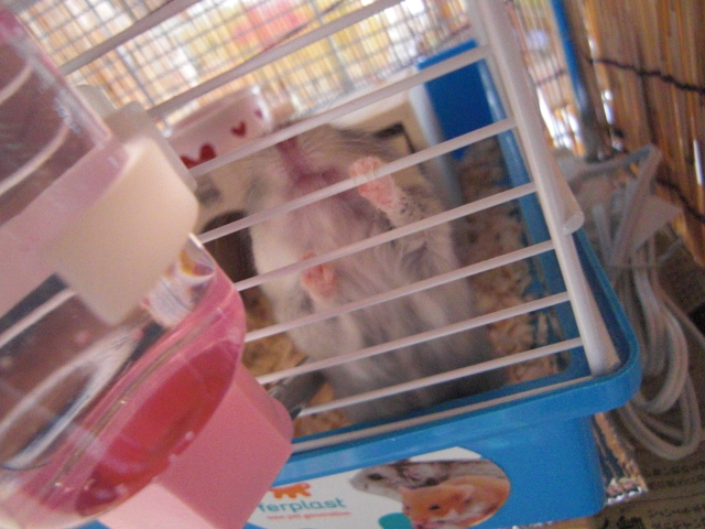 20150520-1.JPG