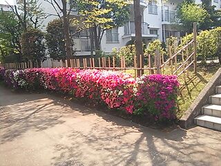 rblog-20140508212041-00.jpg