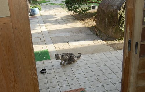 DSC_0007.JPG