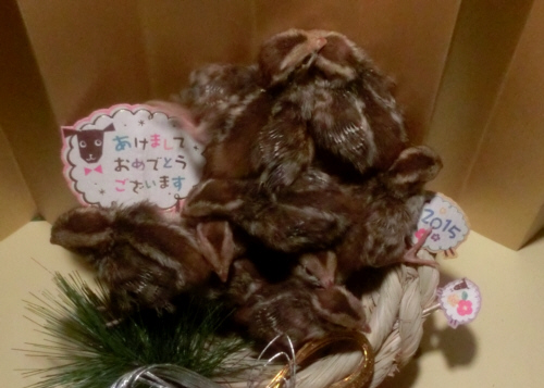 20141218(7)