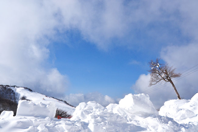 雪４