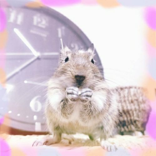 rblog-20171120111430-00.jpg