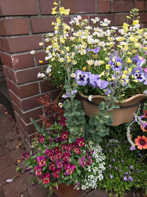 rblog-20190426181100-04.jpg