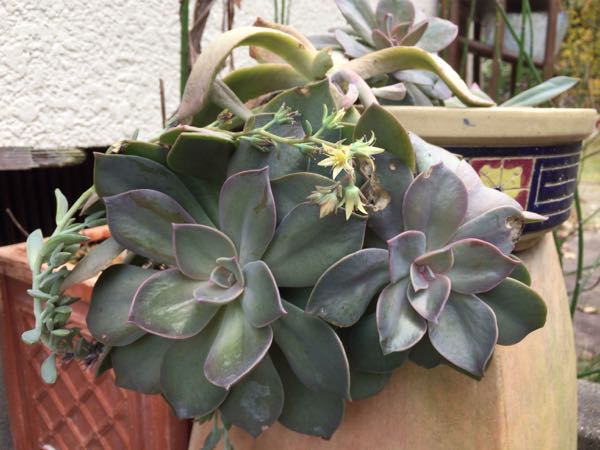 rblog-20171223231244-03.jpg