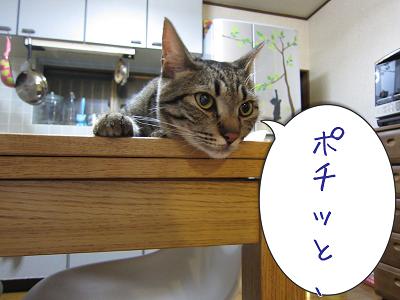 8P8f6kZd4mmo3_11371697520_1371697708.png