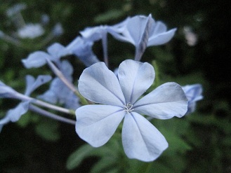 IMG_9735.JPG