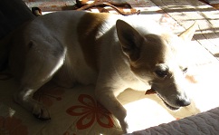 IMG_0779.JPG