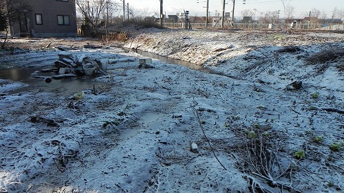 DSCN9968.jpg