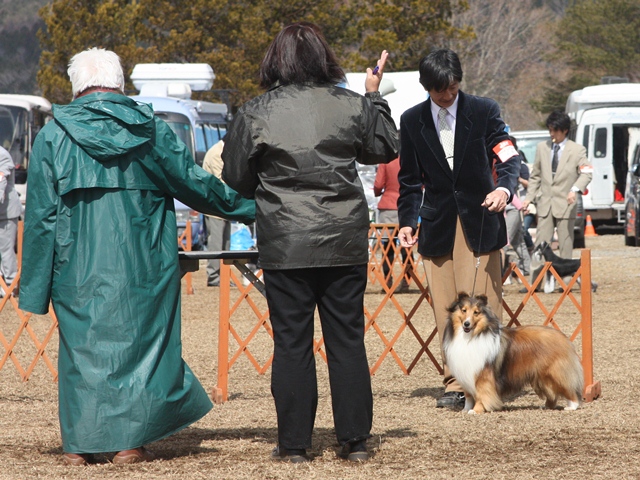 IMG_1063 - コピー.JPG