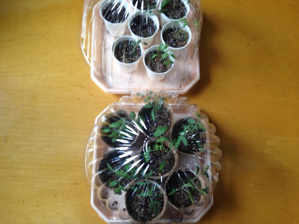 rblog-20140327113431-03.jpg