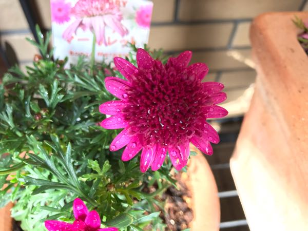 rblog-20190401164244-09.jpg