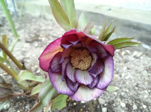 rblog-20140323175427-01.jpg