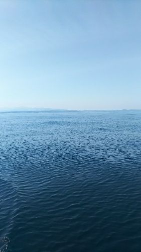 rblog-20180610062338-02.jpg