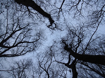 IMG_7869.JPG