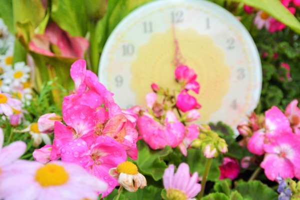 伊豆四季の花公園