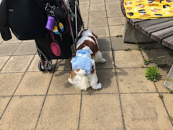 rblog-20180423141141-08.jpg