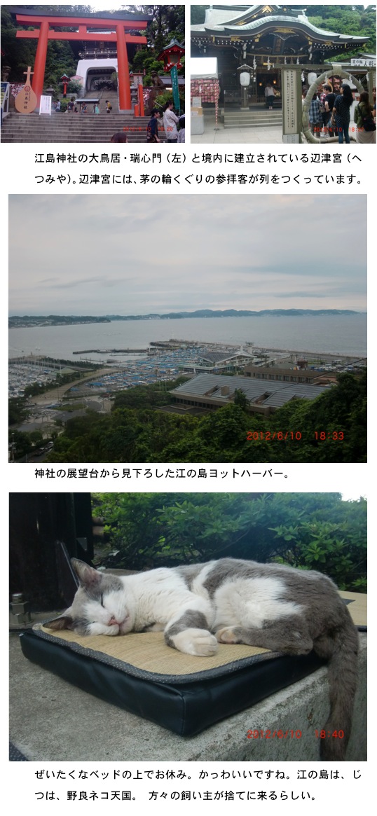 2012.06.11-6.jpg