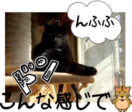 P1110108.png