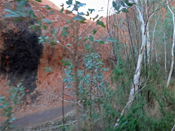 OZ904.jpg