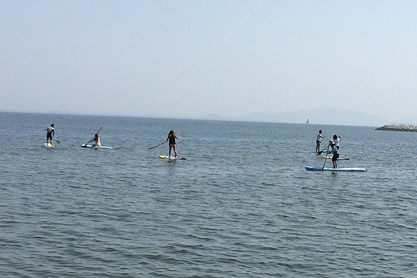 sup-3.jpg