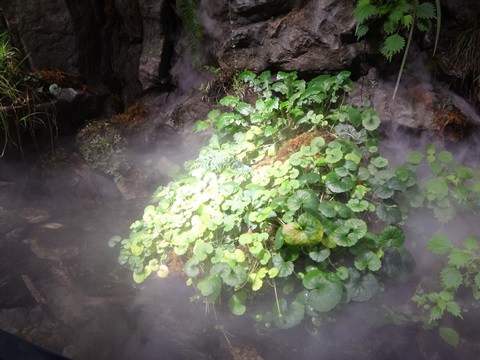 DSC04324.JPG