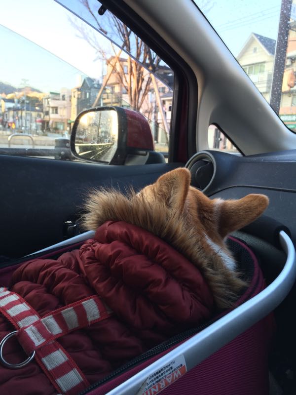 rblog-20160213011117-00.jpg