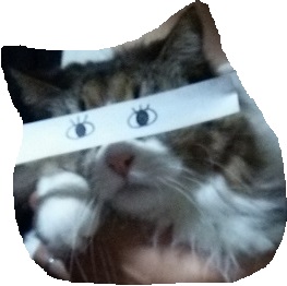 無題.jpg