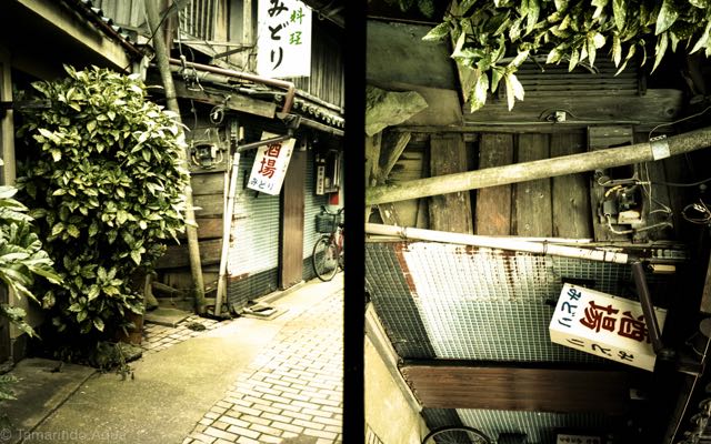 img065.jpg