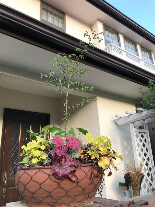 rblog-20180408180536-01.jpg