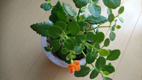 rblog-20170911000218-00.jpg