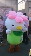 2014桜6.jpg