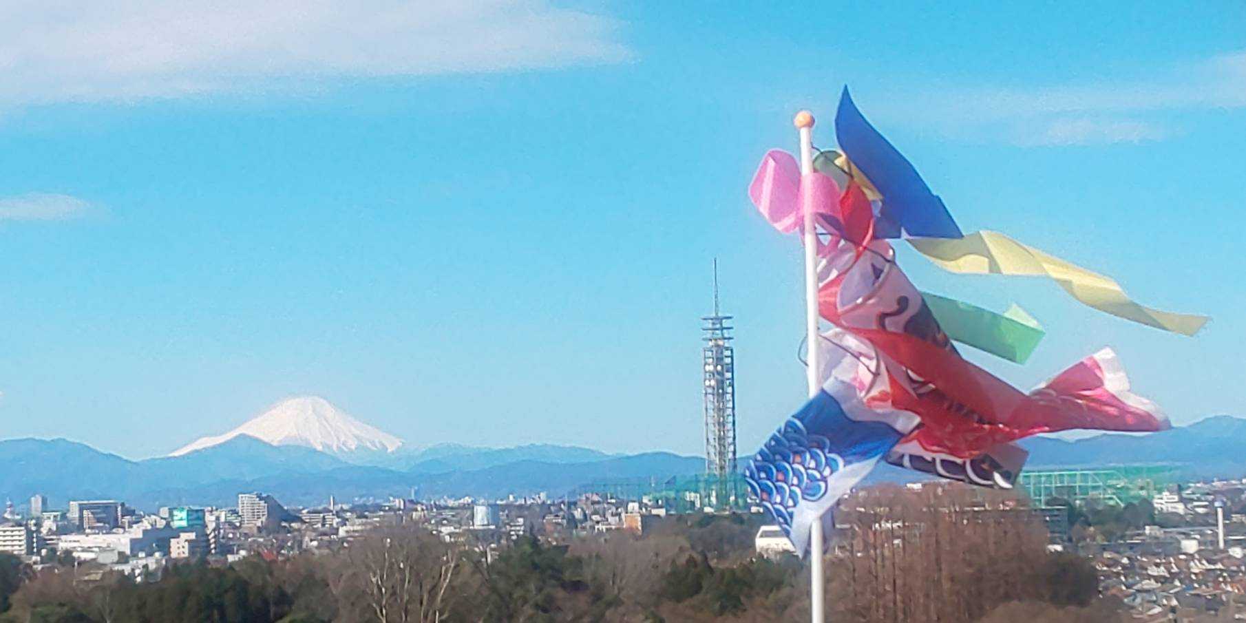 よく読まれている記事一覧 病気と生きる 楽天ブログ