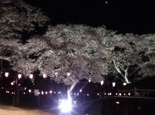 rblog-20140415211951-01.jpg
