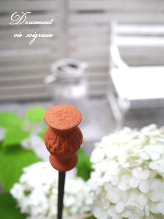 2016.7.5 アジサイ&アカシア.JPG